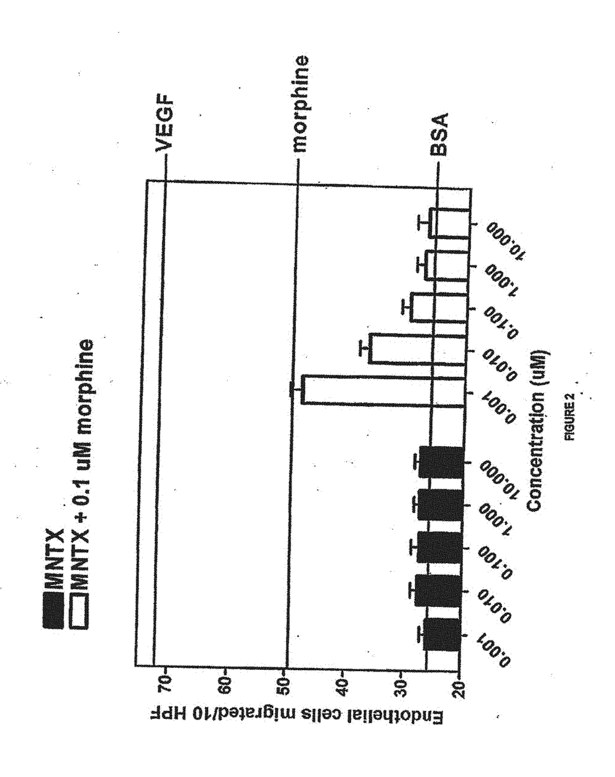 Use of opioid antagonists to attenuate endothelial cell proliferation and migration