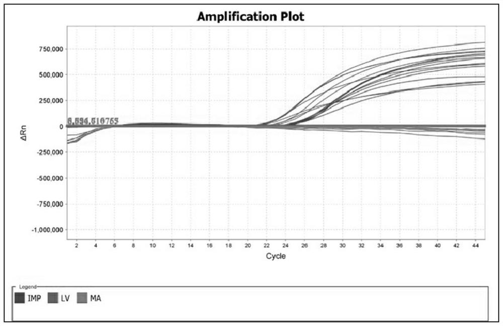 A kit and extraction method applicable to high-throughput extraction of genomic DNA from animal tissues