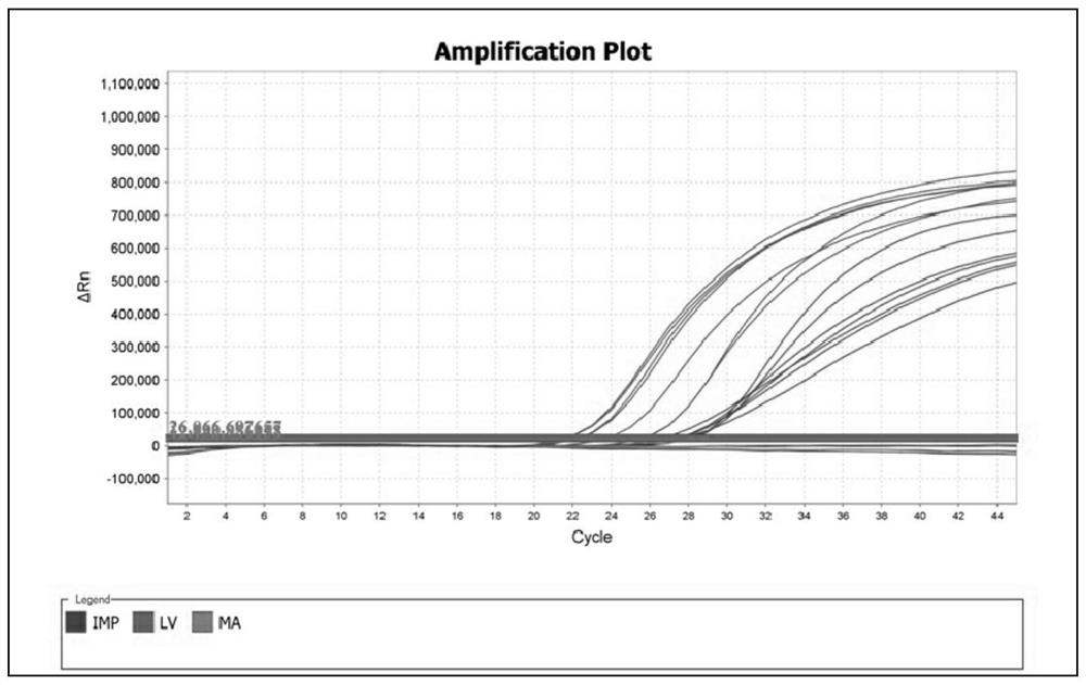 A kit and extraction method applicable to high-throughput extraction of genomic DNA from animal tissues