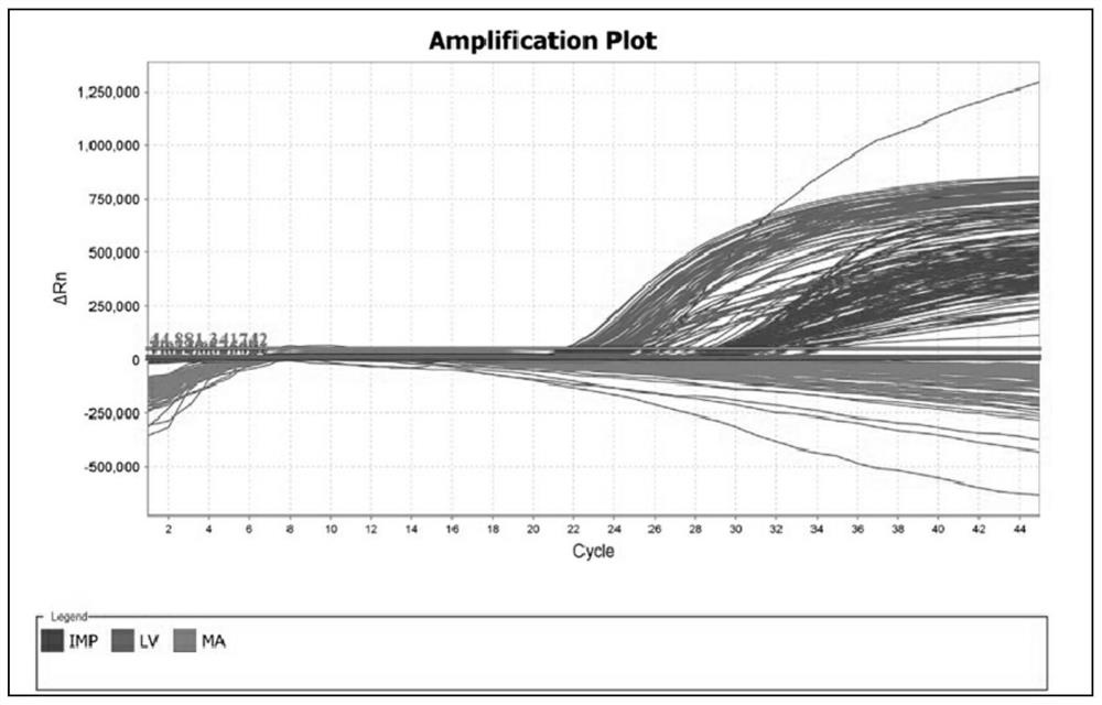 A kit and extraction method applicable to high-throughput extraction of genomic DNA from animal tissues