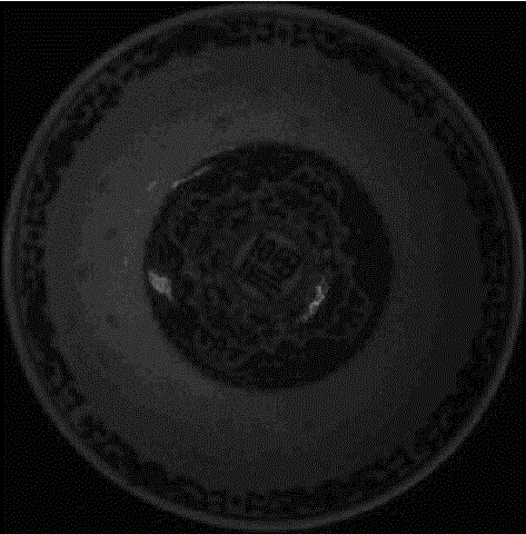 Anti-dazzle circular daily ceramic device applique out-of-bound detection method