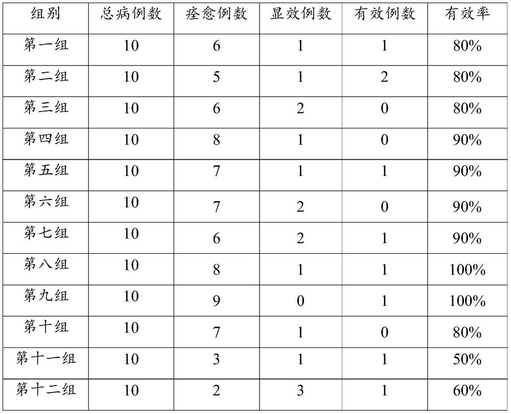 A kind of traditional Chinese medicine patch, preparation method and use thereof