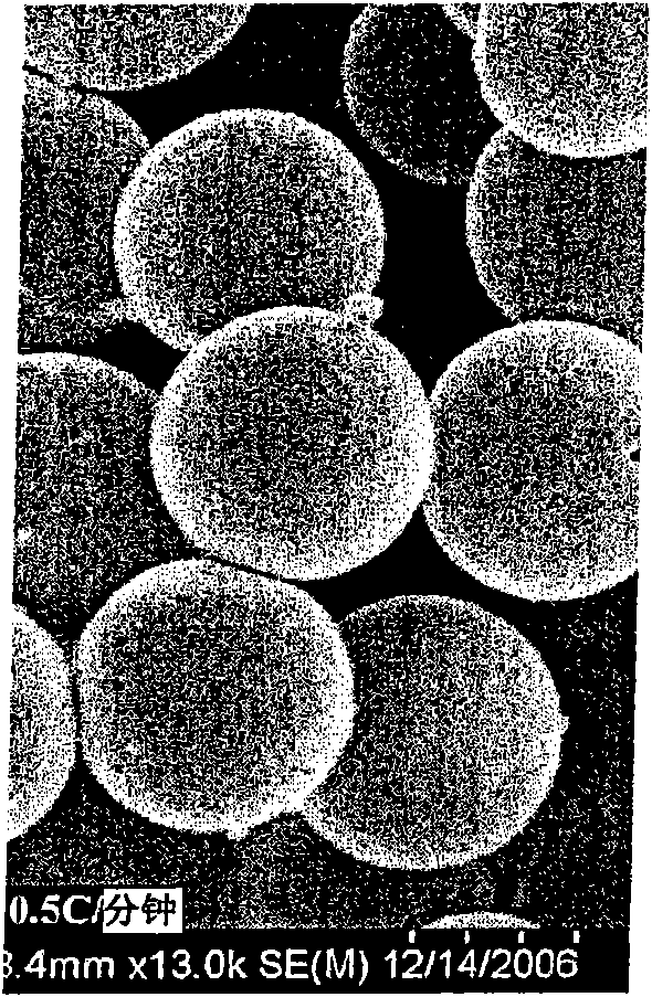 Nucleic acid microparticles for pulmonary delivery