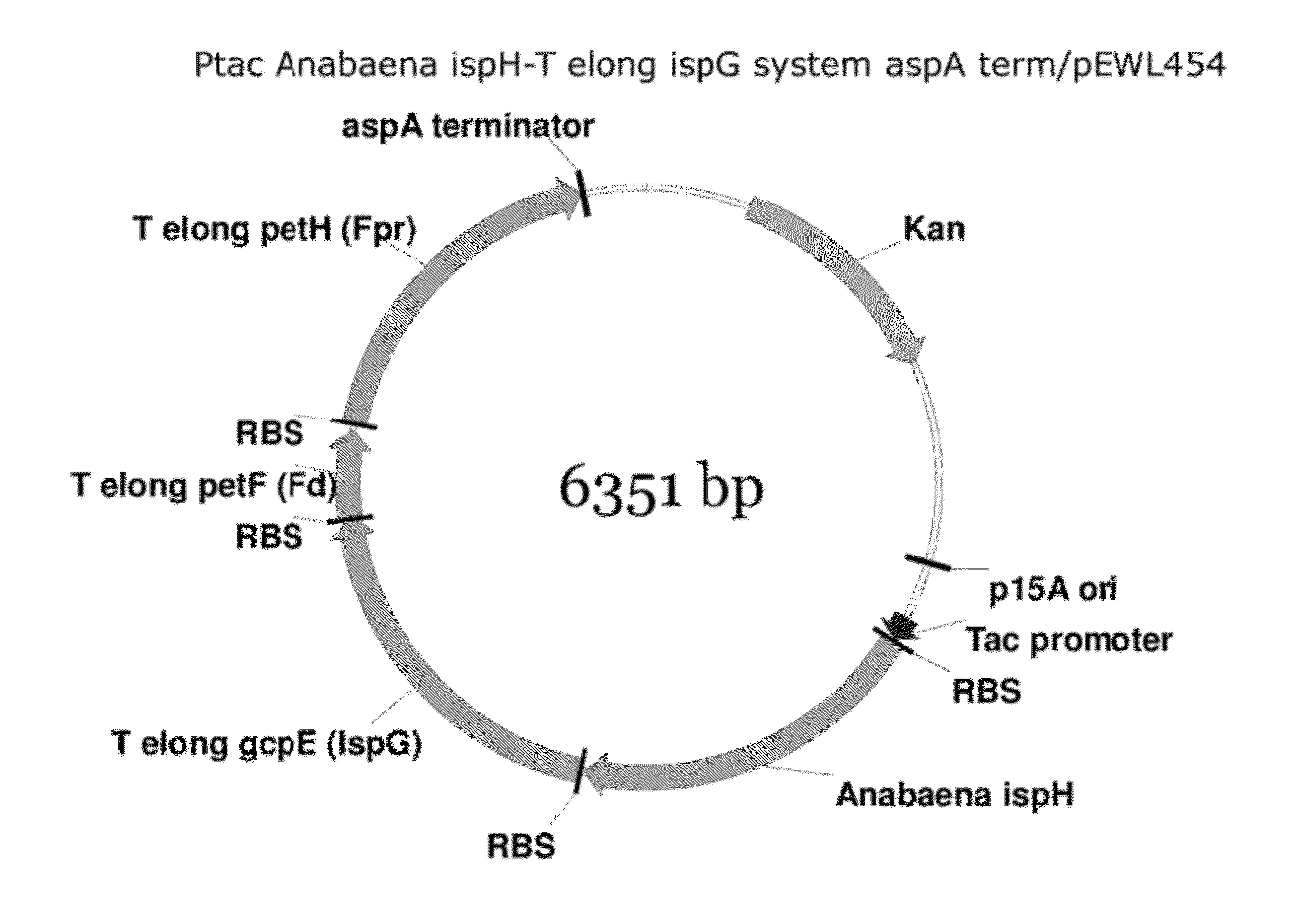 Compositions and methods for improved isoprene production using two types of ispg enzymes