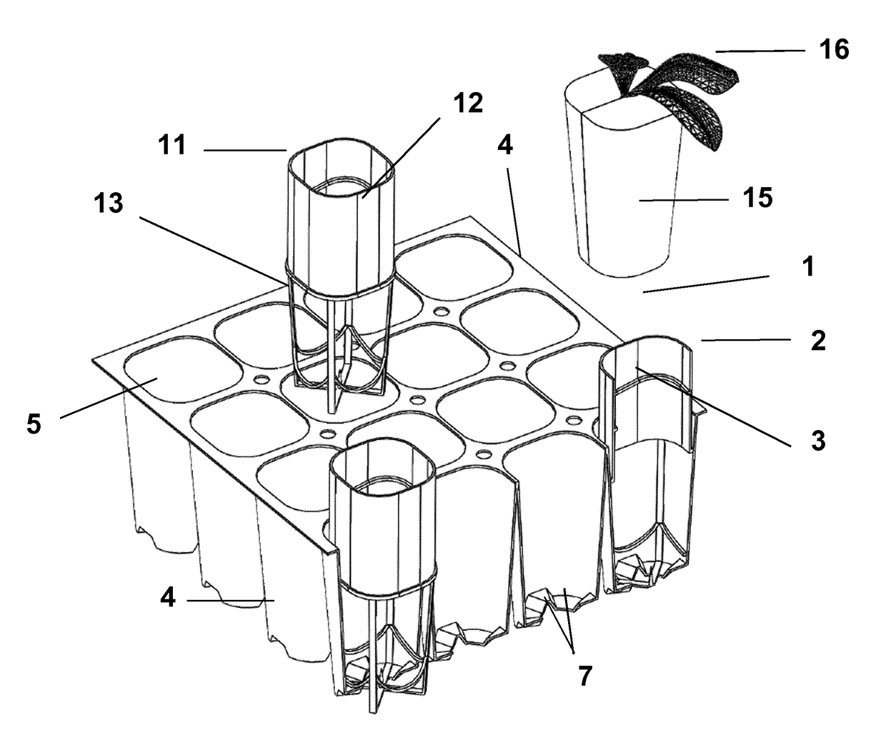 Systems for cultivating plants with aerial roots