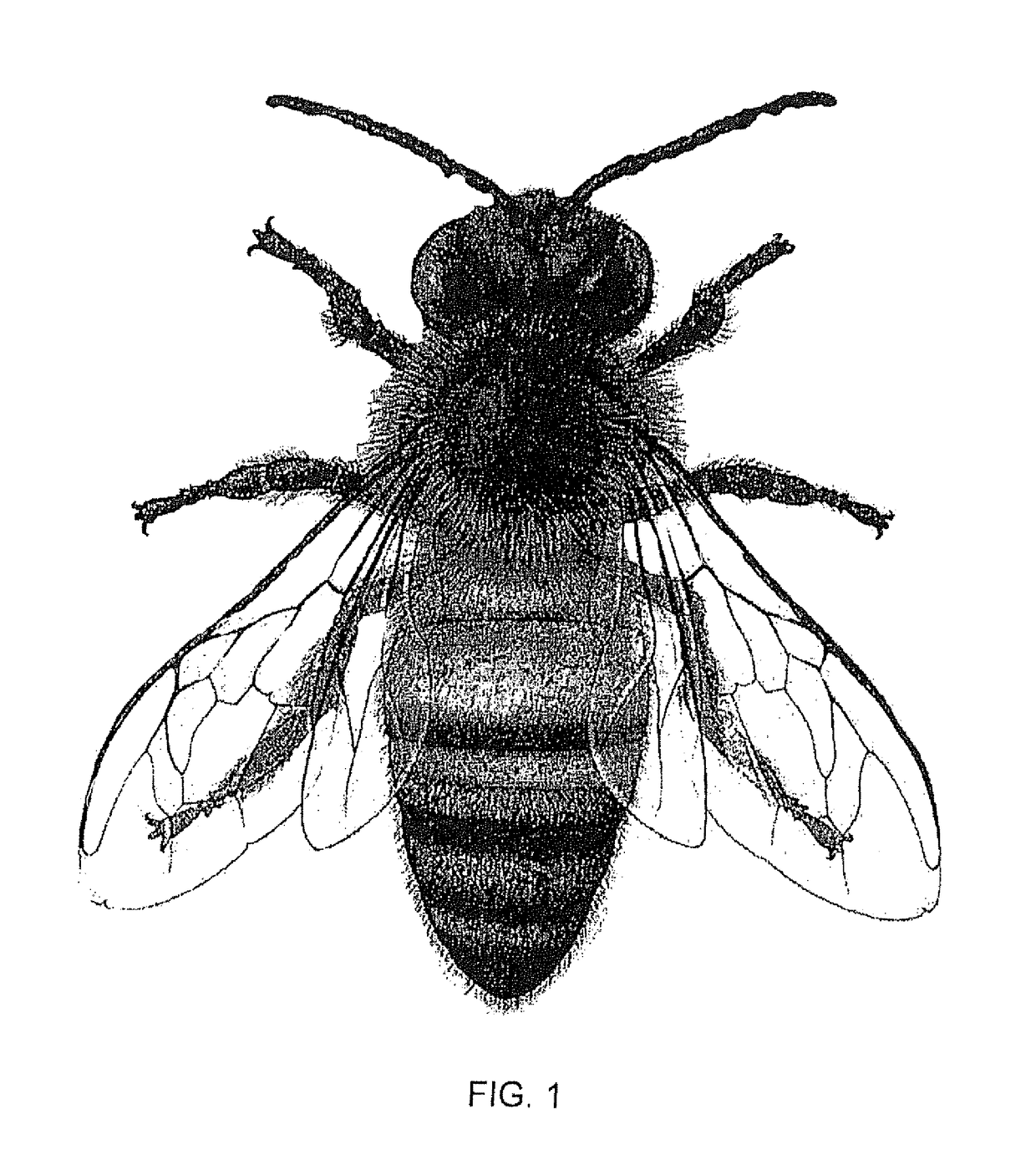 Method and system for protecting honey bees, bats and butterflies from neonicotinoid pesticides