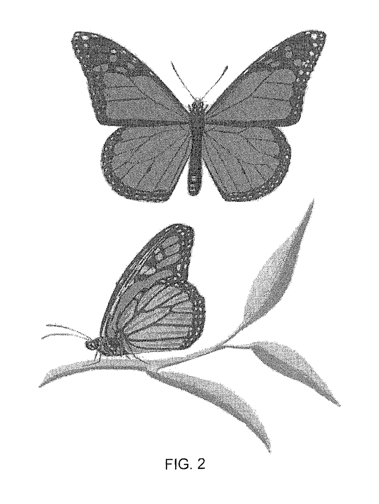 Method and system for protecting honey bees, bats and butterflies from neonicotinoid pesticides