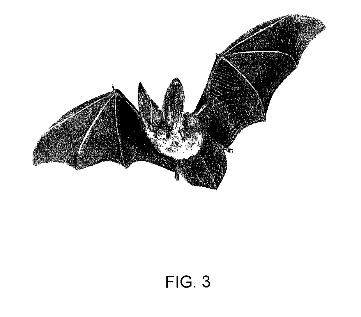 Method and system for protecting honey bees, bats and butterflies from neonicotinoid pesticides