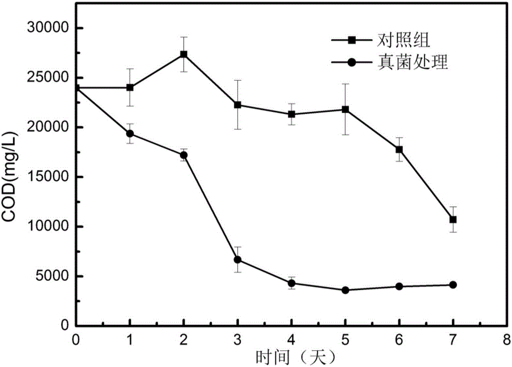 Method for improving sludge settleability and removing organic matter by using filamentous fungi