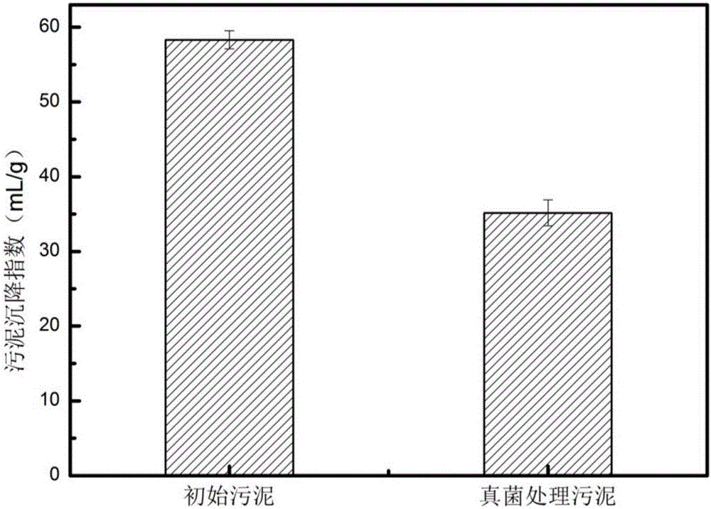 Method for improving sludge settleability and removing organic matter by using filamentous fungi