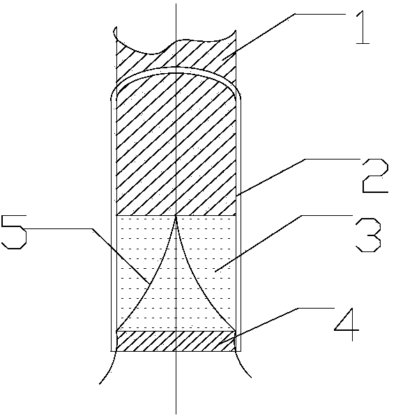 Silver/silver chloride electrode applicable to deep sea and preparation method thereof