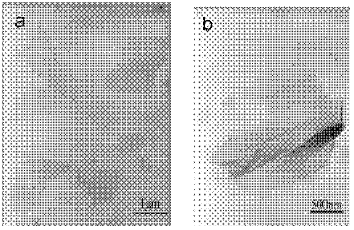 Method for preparing graphene/polyimide composite fibers