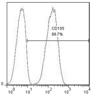 Preparation method and application of umbilical cord mesenchymal stem cell nutrient solution