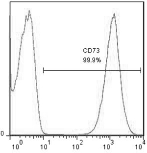 Preparation method and application of umbilical cord mesenchymal stem cell nutrient solution