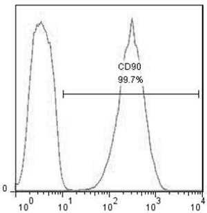 Preparation method and application of umbilical cord mesenchymal stem cell nutrient solution