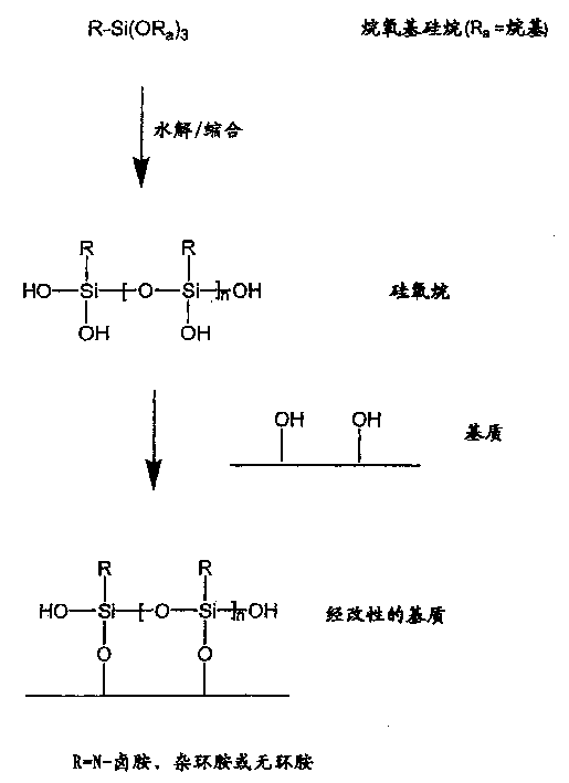 N-halamine siloxanes for use in biocidal coatings and materials