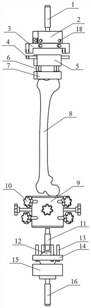 A static compression and compression-compression fatigue test method of femur