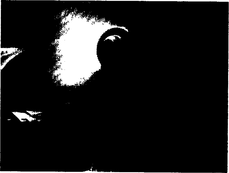 Method for realizing high speed moving article 3D profile measurement using stroboscopic structure lighting