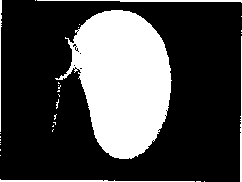 Method for realizing high speed moving article 3D profile measurement using stroboscopic structure lighting