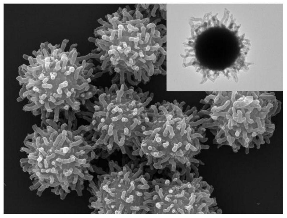 Preparation method of composite particle with hairy structure on surface