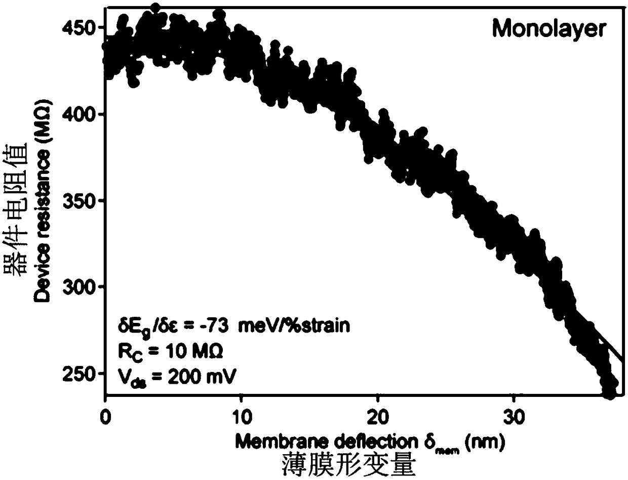 Molybdenum disulfide flexible ion sensor