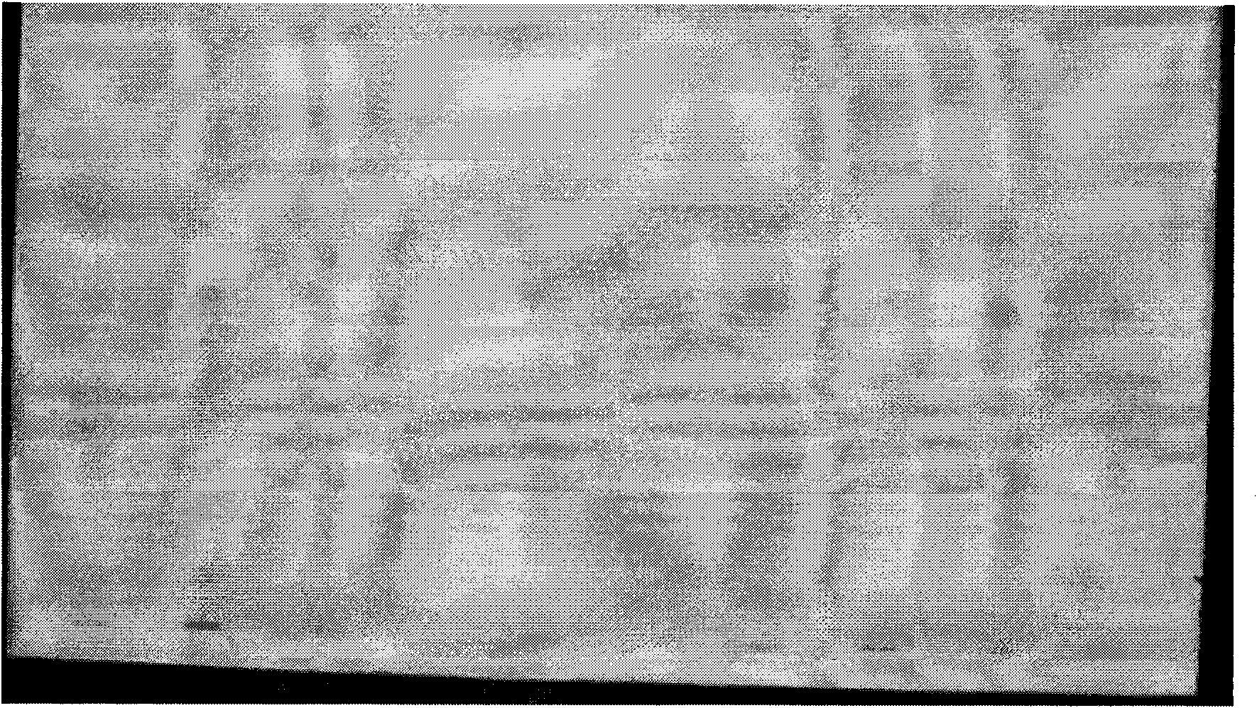 Method for preparing irrigating solution with anti-tumor function