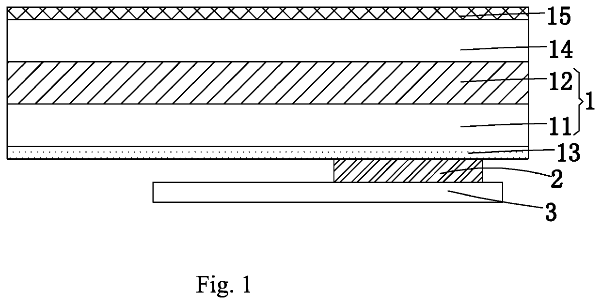 OLED display device with fingerprint on display