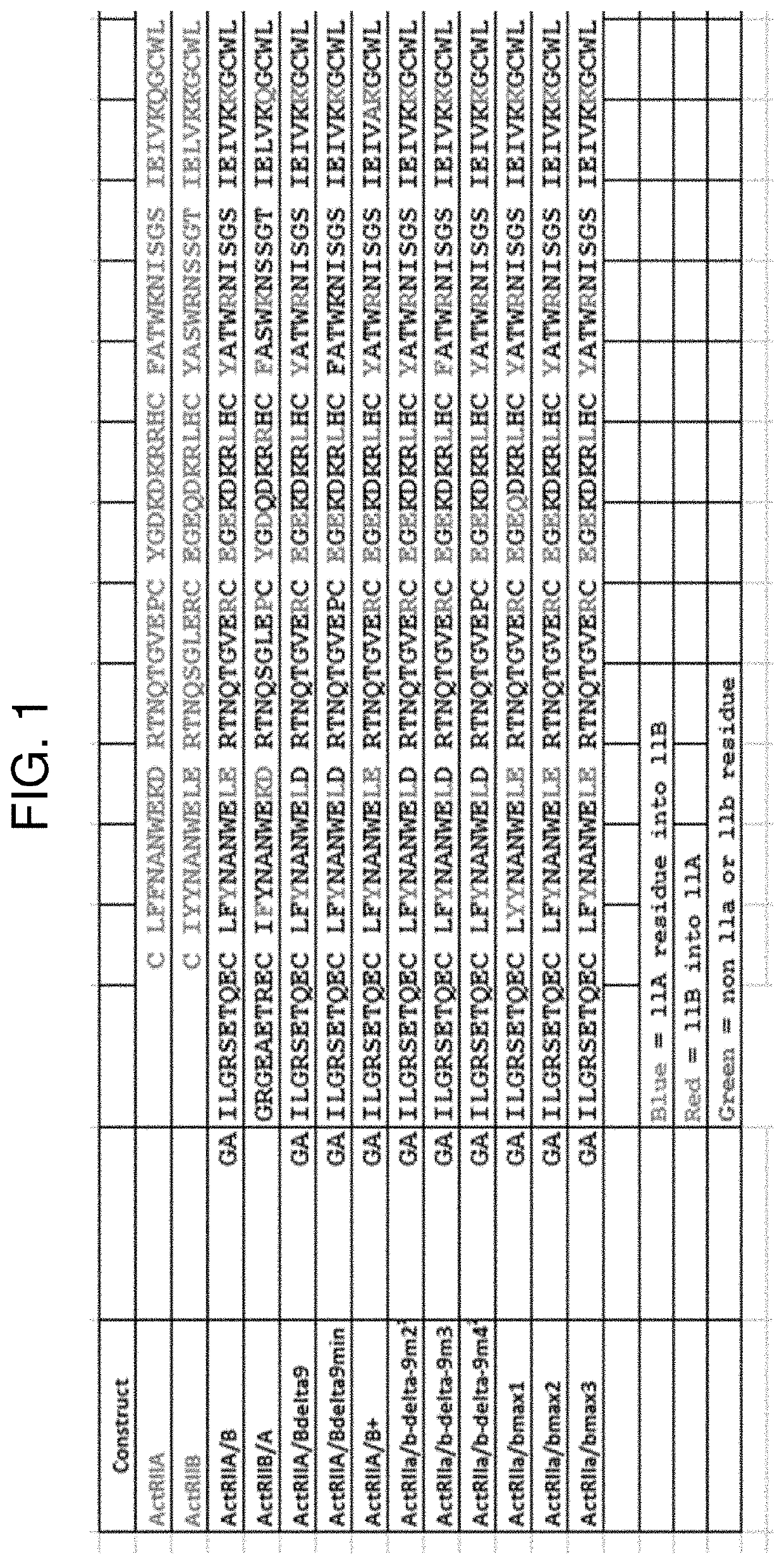 Activin receptor type IIa variants and methods of use thereof