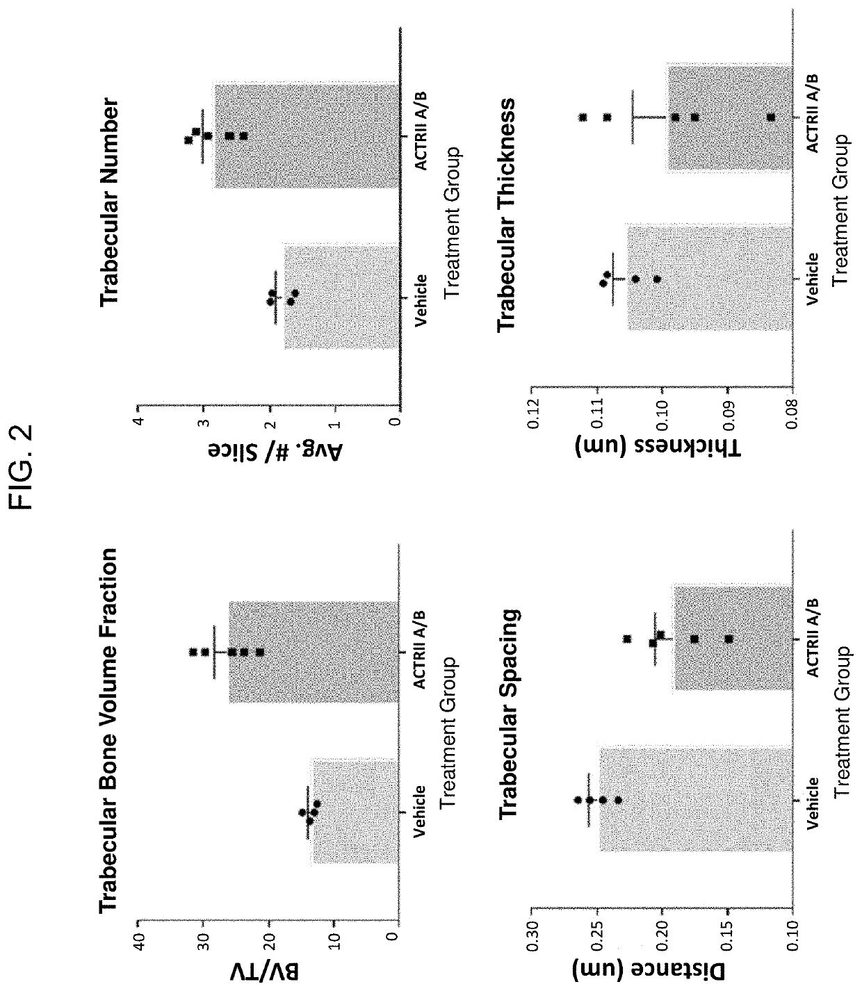 Activin receptor type IIa variants and methods of use thereof