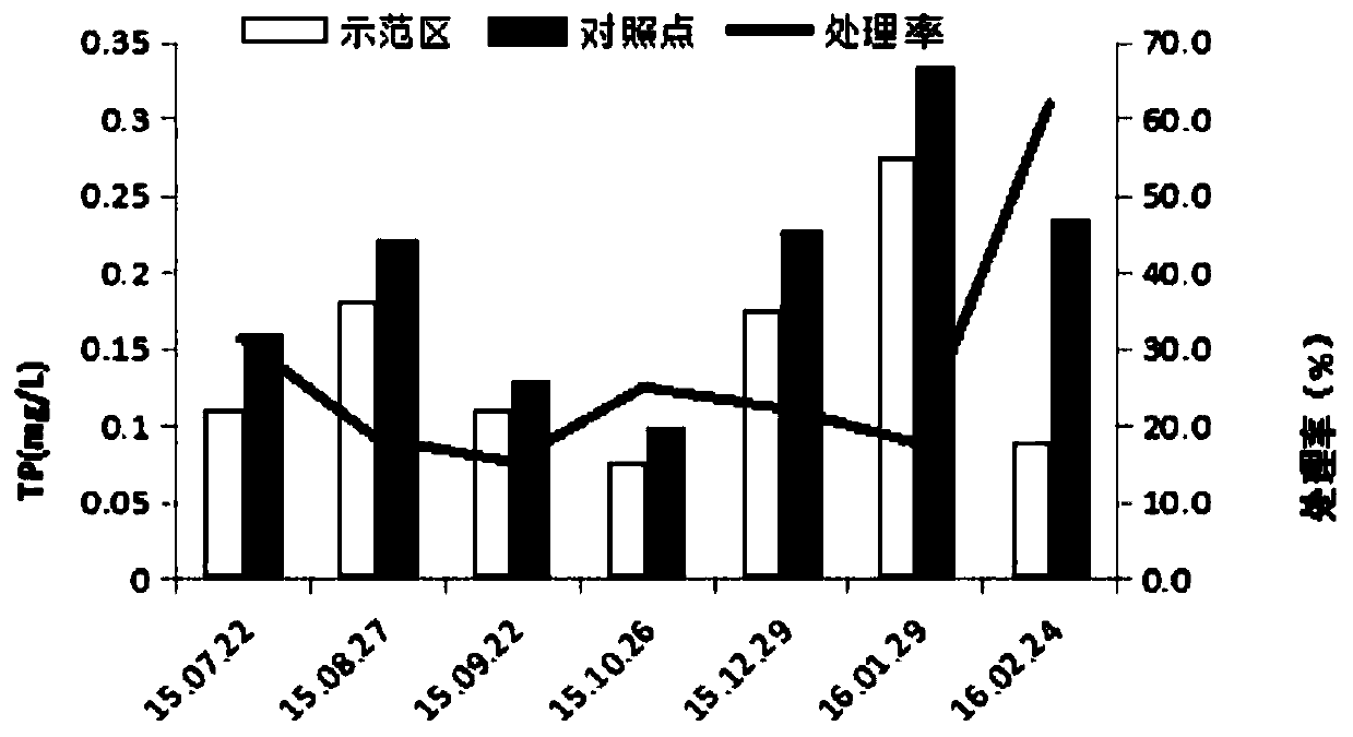 Shallow lake ecosystem regulation and stability maintenance method