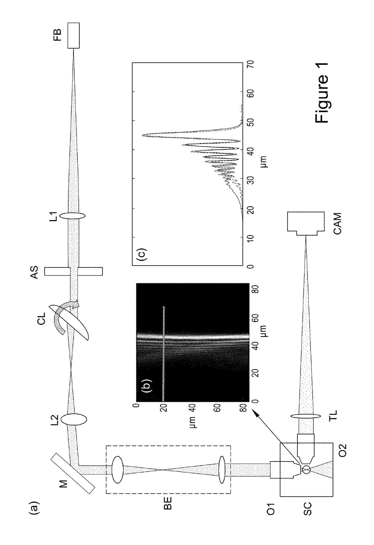 Airy beam light sheet and airy beam light sheet microscope