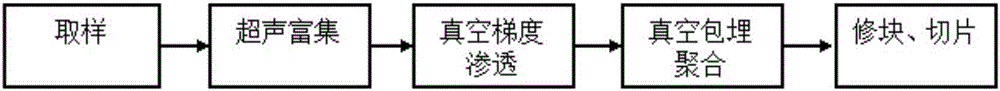 Preparation method of transmission electron microscope samples of atmospheric particulates