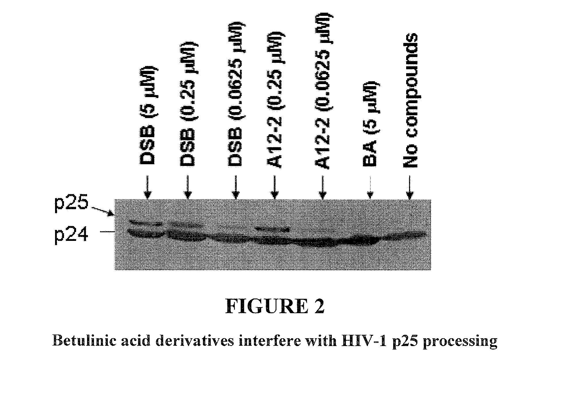 Betulinic acid derivatives as Anti-hiv agents