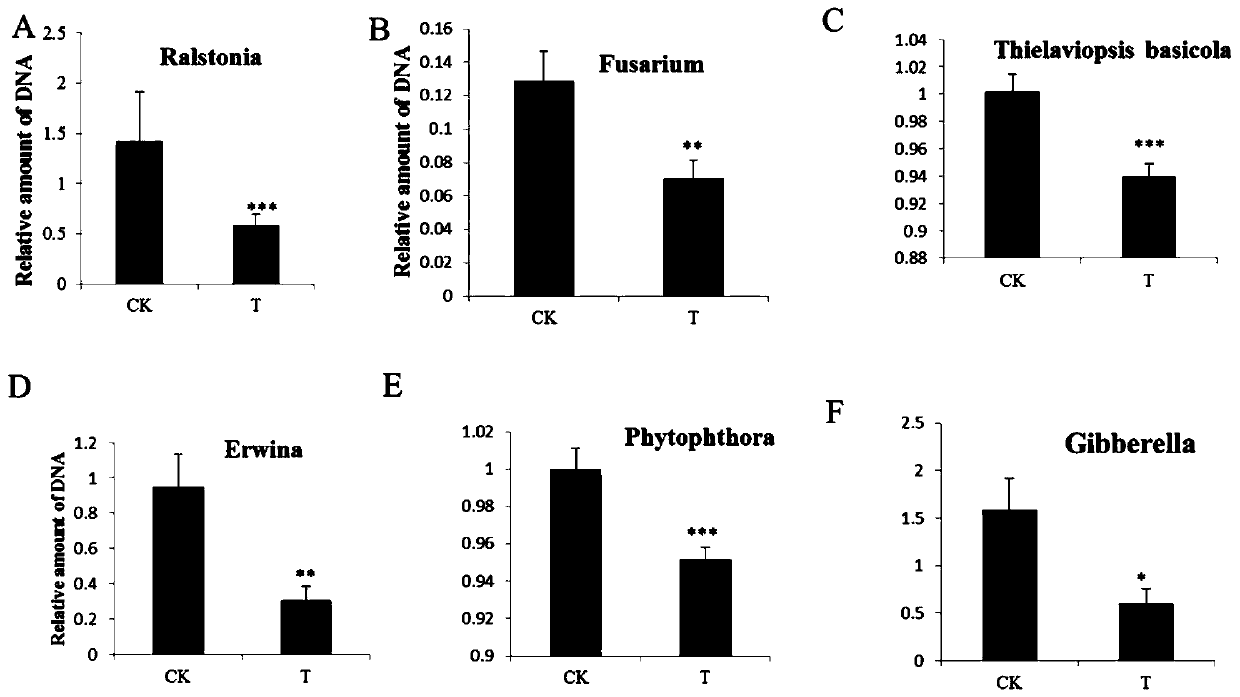 Compound microbial agent and application thereof in preventing and treating various plant diseases