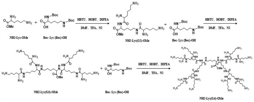 Amphiphilic peptide dendrimer for photodynamic/NO synergistic biofilm infection resistance and wound healing promotion and preparation method and application thereof