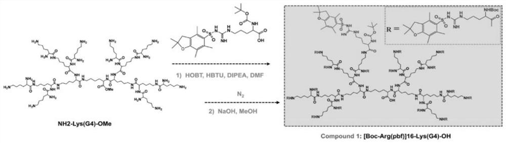 Amphiphilic peptide dendrimer for photodynamic/NO synergistic biofilm infection resistance and wound healing promotion and preparation method and application thereof