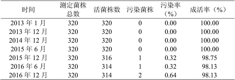 Drying and sealed preservation method of rice ustilaginoidea virens