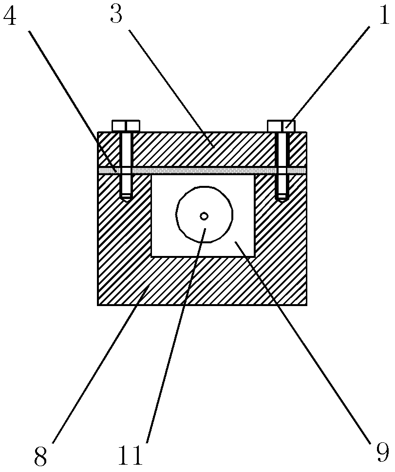 High-temperature high-pressure plasticizing device