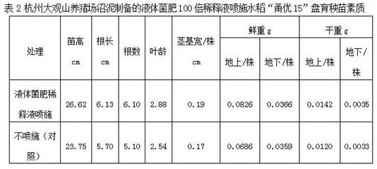 Liquid bacterial fertilizer prepared from pig farm biogas mud and preparation method and application method thereof