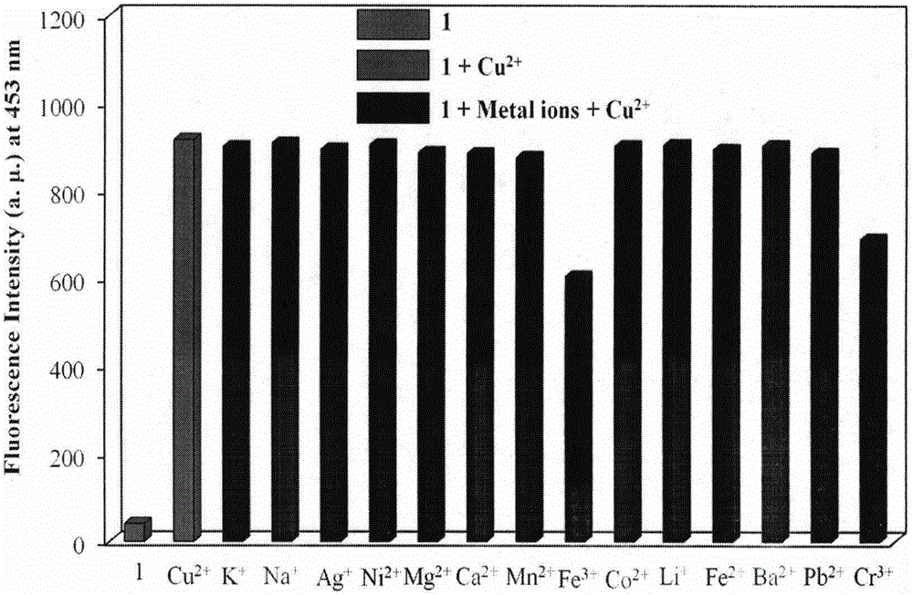 Novel fluorescent molecular probe for copper ions and application of novel fluorescent molecular probe