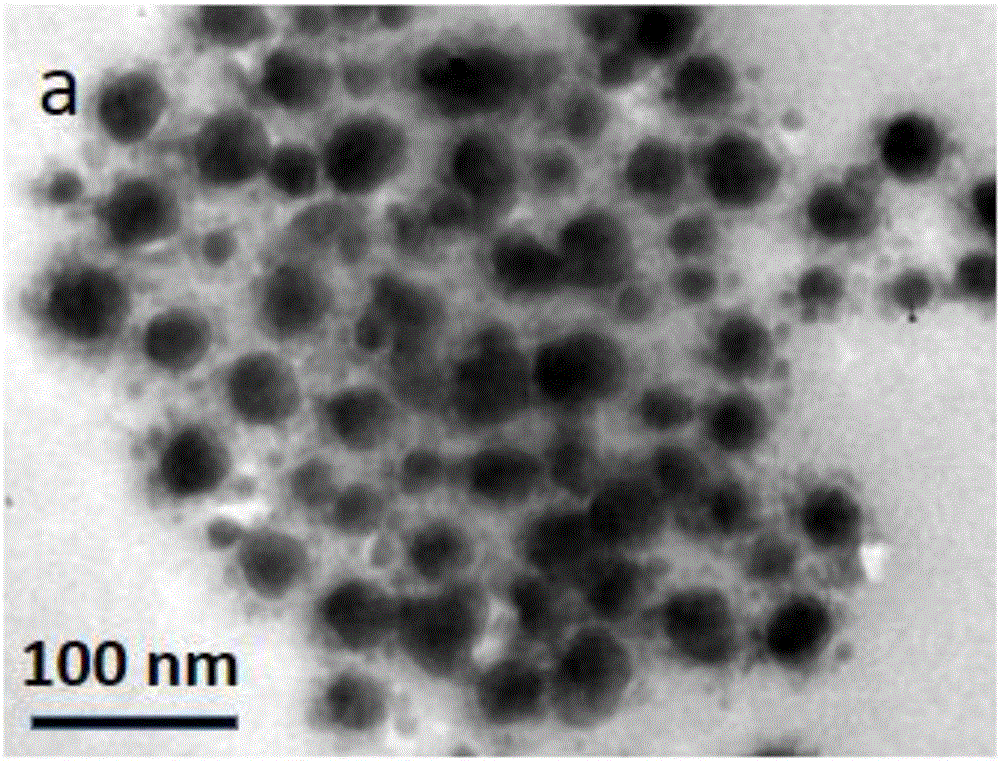 Core-shell SERS (surface enhanced Raman spectroscopy) probe, method for preparing same and application of core-shell SERS probe to trace arsenate ion detection