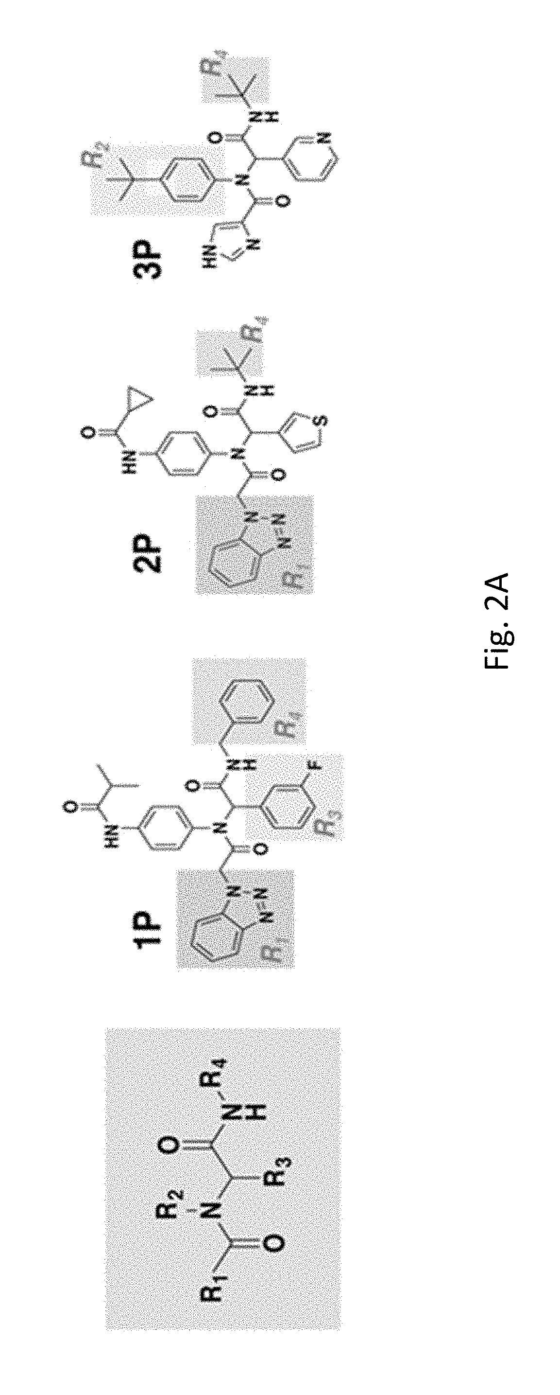 Broad-spectrum non-covalent coronavirus protease inhibitors