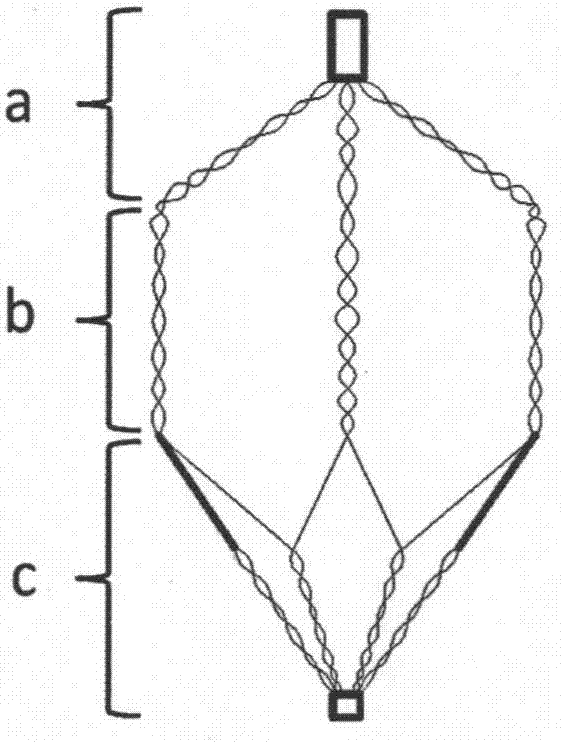 A kind of braided vena cava filter and braiding method