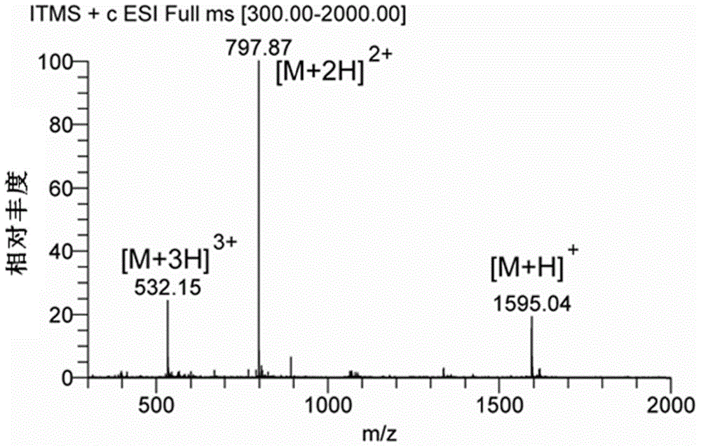 Conjugate, and preparation method and application thereof