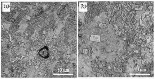 Preparation method for carbon fiber powder reinforced tungsten-based composite material