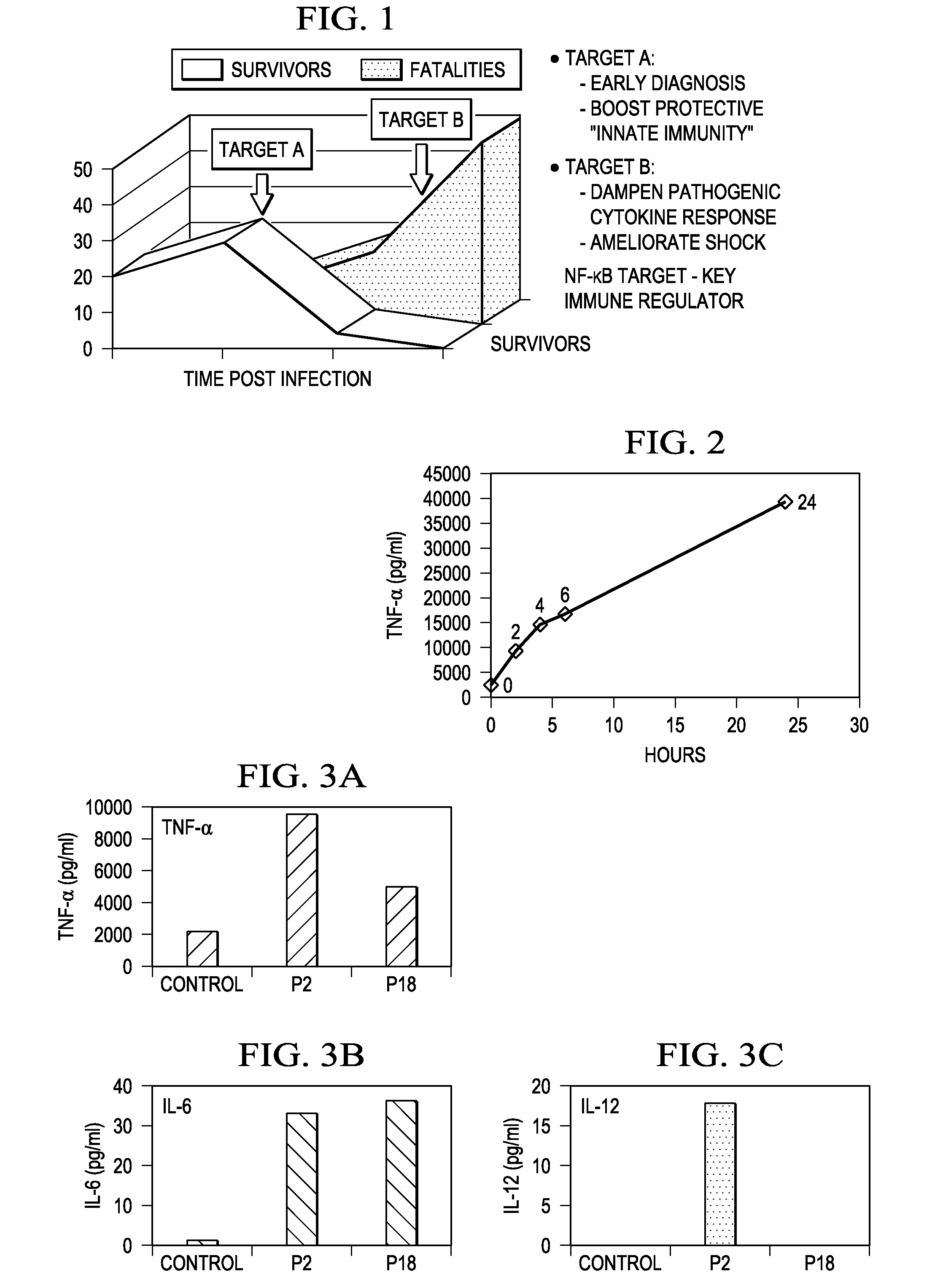 Structure based and combinatorially selected oligonucleoside phosphorothioate and phosphorodithioate aptamer targeting ap-1 transcription factors