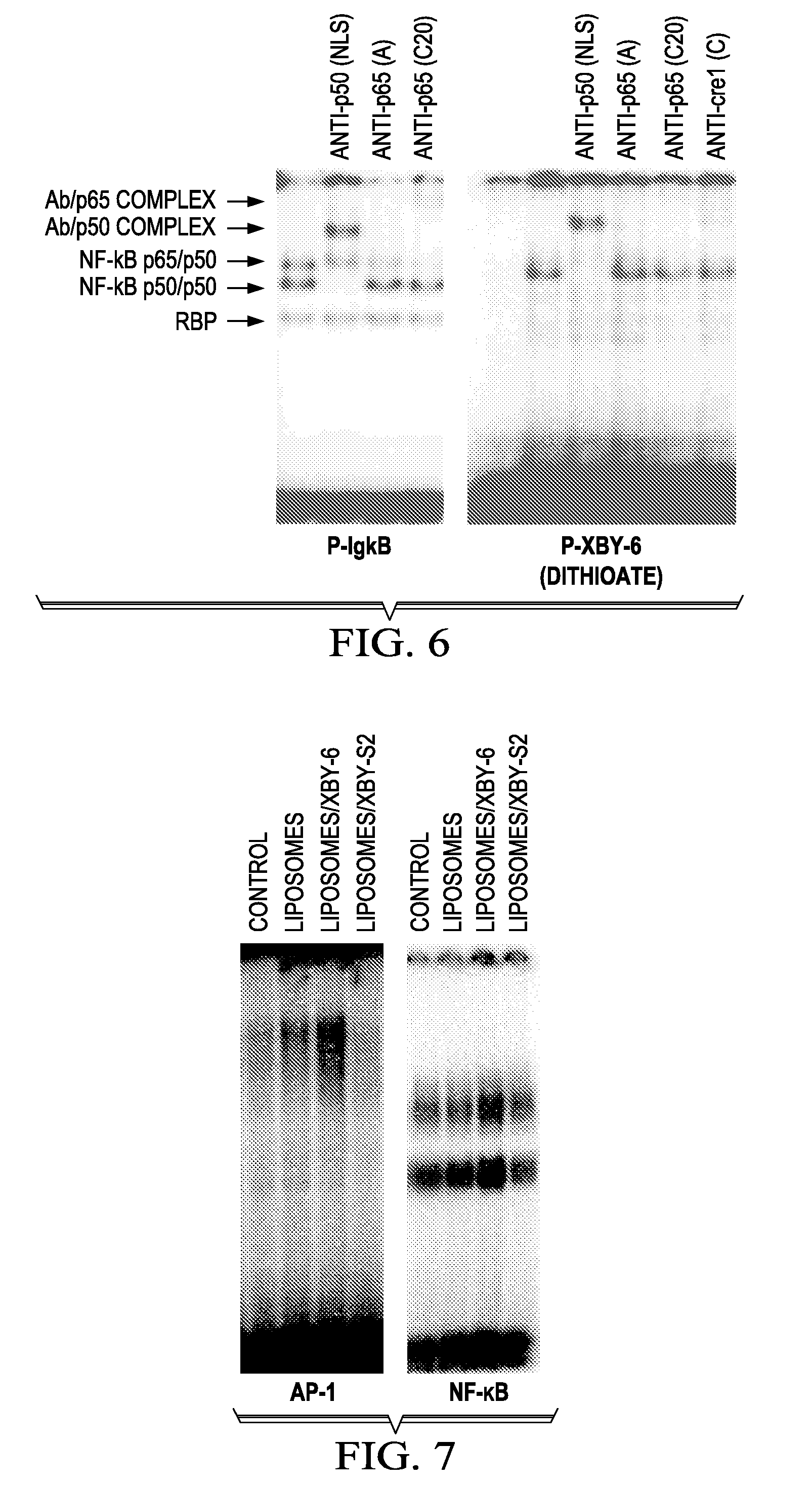 Structure based and combinatorially selected oligonucleoside phosphorothioate and phosphorodithioate aptamer targeting ap-1 transcription factors