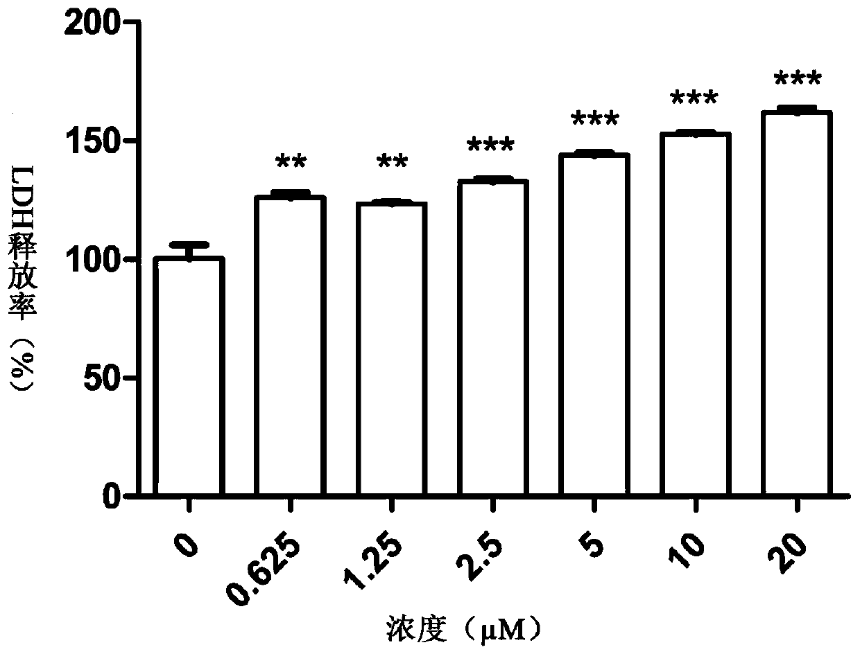 Application of glaucocalyxin A in preparation of drug for treating lung cancer