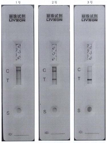 A method for large-scale production of rotavirus vaccine using bioreactor