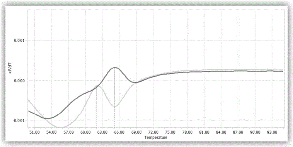 Typing detection kit for FK506 personalized medication related genes